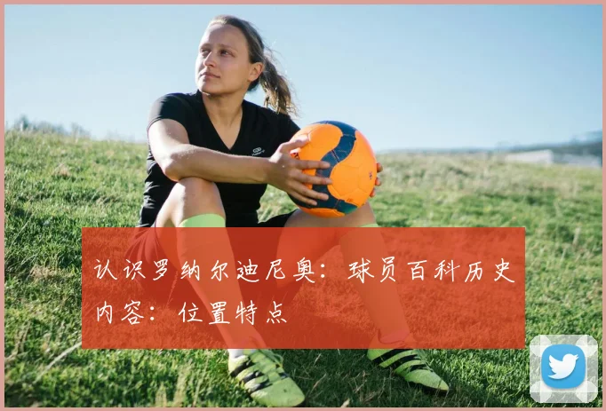 认识罗纳尔迪尼奥：球员百科历史内容：位置特点