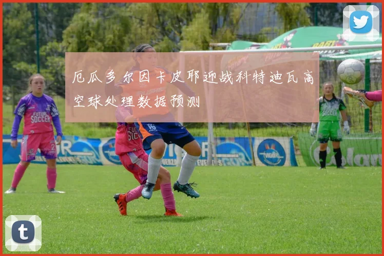 厄瓜多尔因卡皮耶迎战科特迪瓦高空球处理数据预测