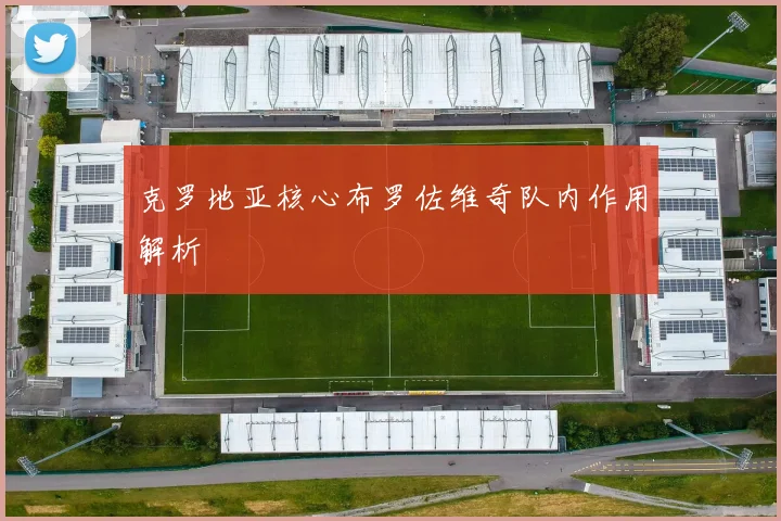克罗地亚核心布罗佐维奇队内作用解析