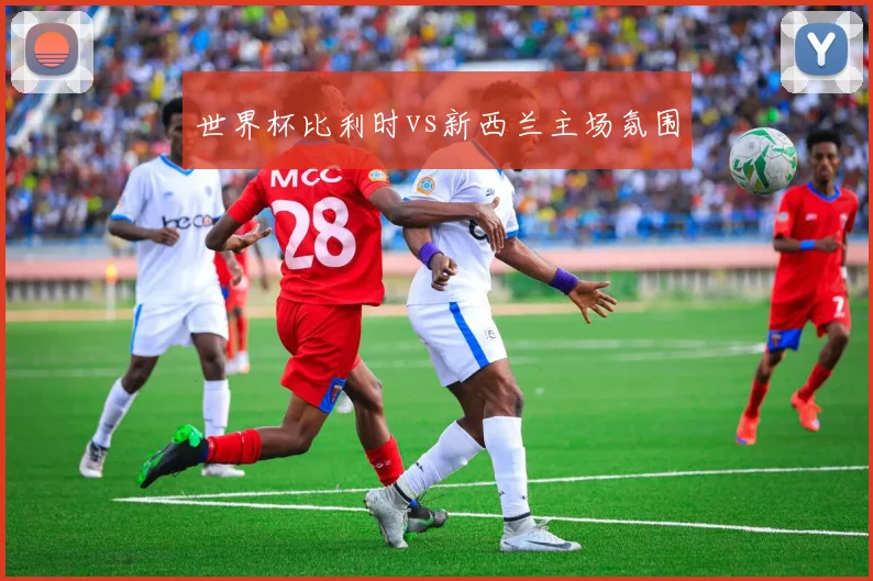 世界杯比利时vs新西兰主场氛围