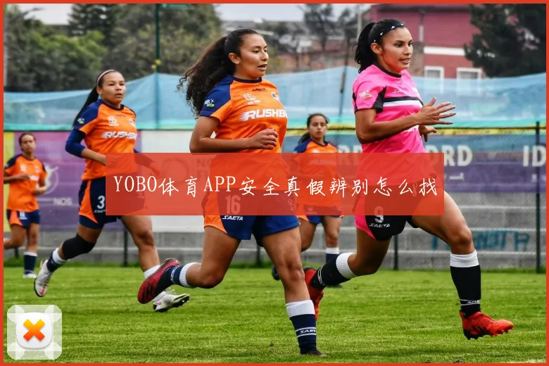 YOBO体育APP安全真假辨别怎么找