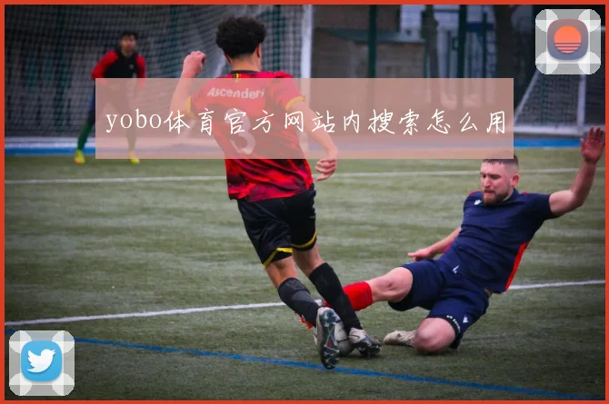 yobo体育官方网站内搜索怎么用