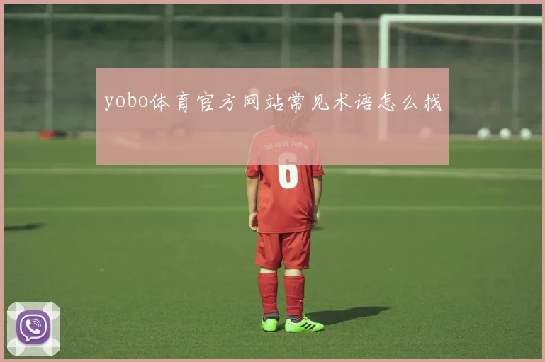 yobo体育官方网站常见术语怎么找