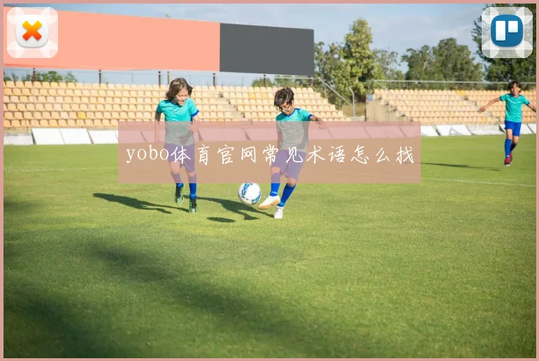 yobo体育官网常见术语怎么找