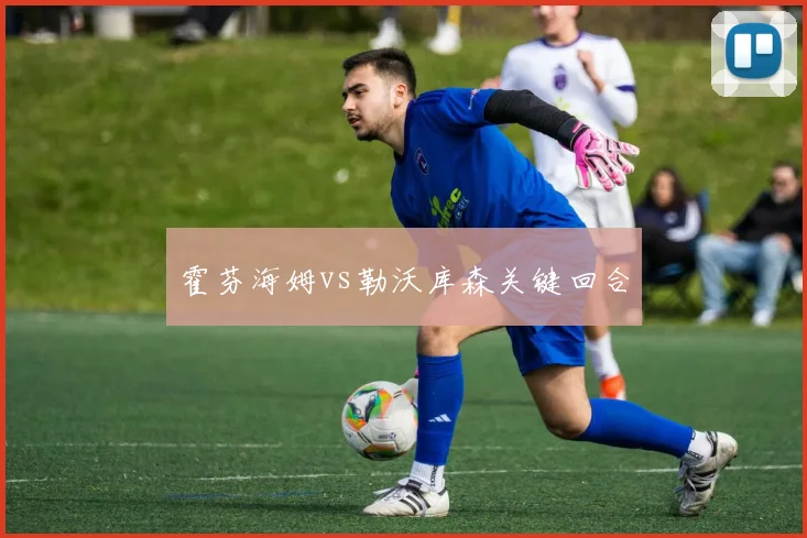 霍芬海姆vs勒沃库森关键回合